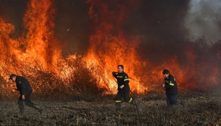 Αποκάλυψη: Ιδού ποιοι κρύβονται πίσω από τις καταστροφικές πυρκαγιές σε Αττική και Ζάκυνθο